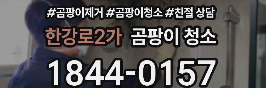 한강로2가 곰팡이 청소