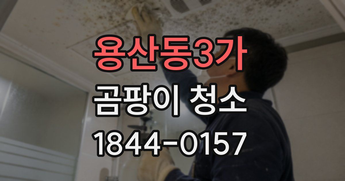 용산동3가 곰팡이 청소