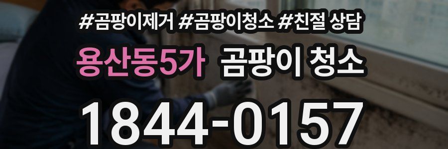 용산동5가 곰팡이 청소