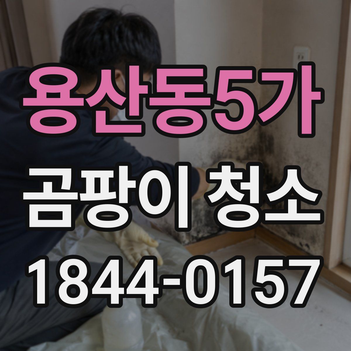 용산동5가 곰팡이 청소
