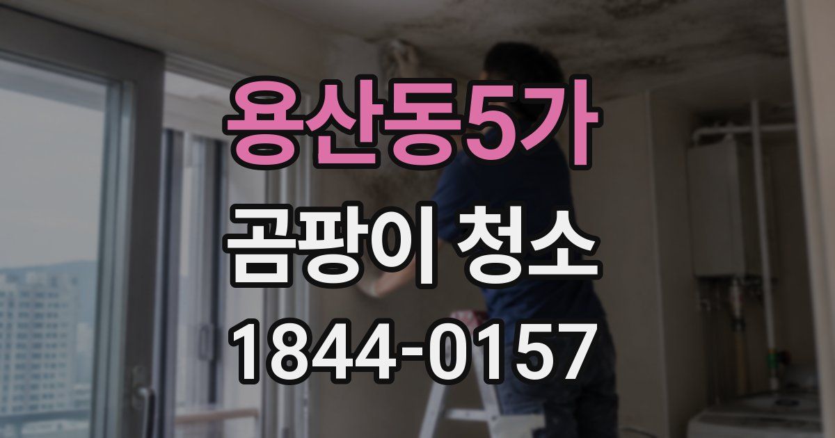 용산동5가 곰팡이 청소