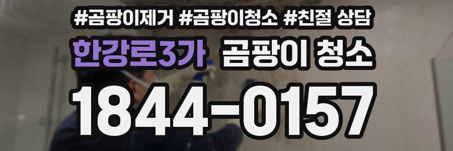 한강로3가 곰팡이 청소