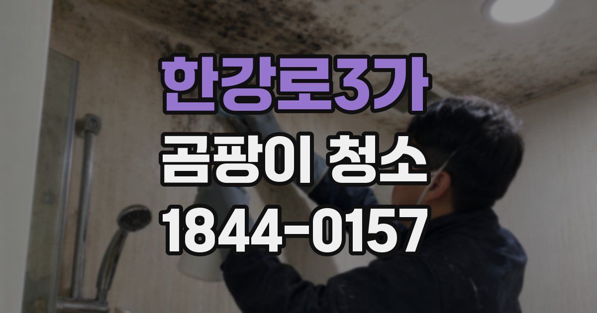 한강로3가 곰팡이 청소