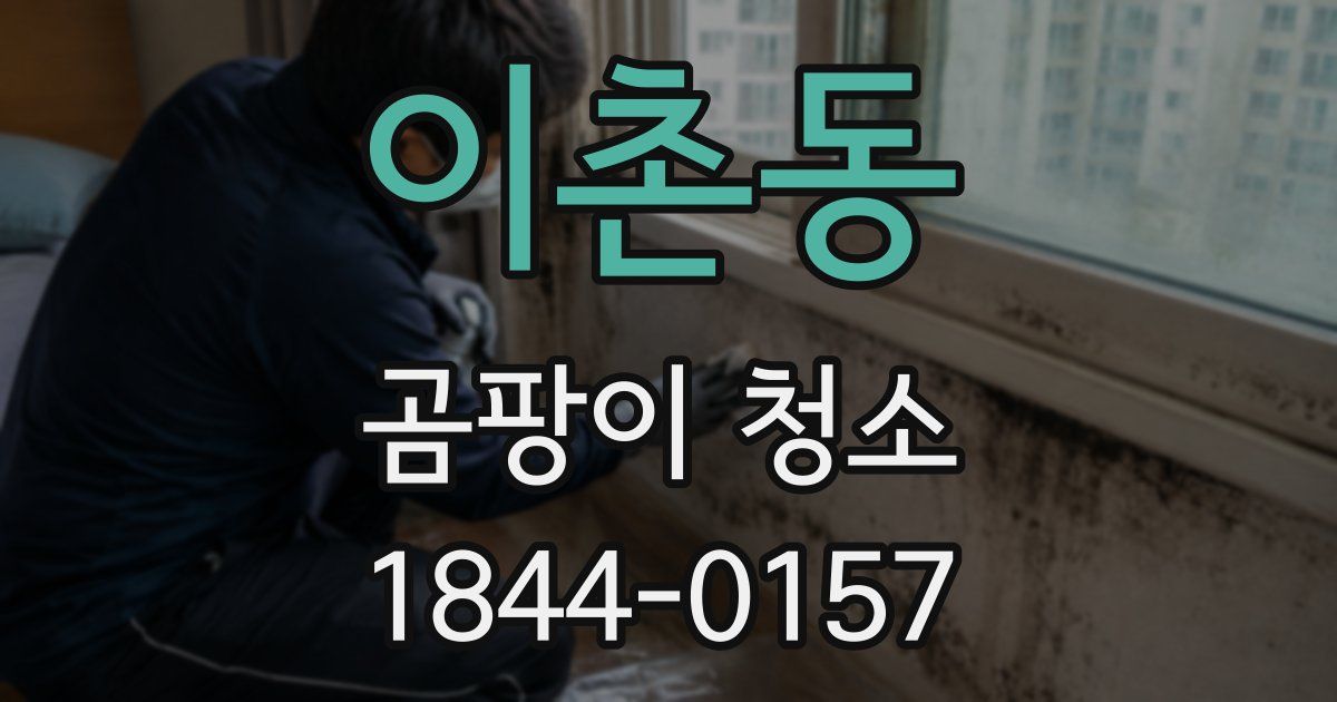 이촌동 곰팡이 청소