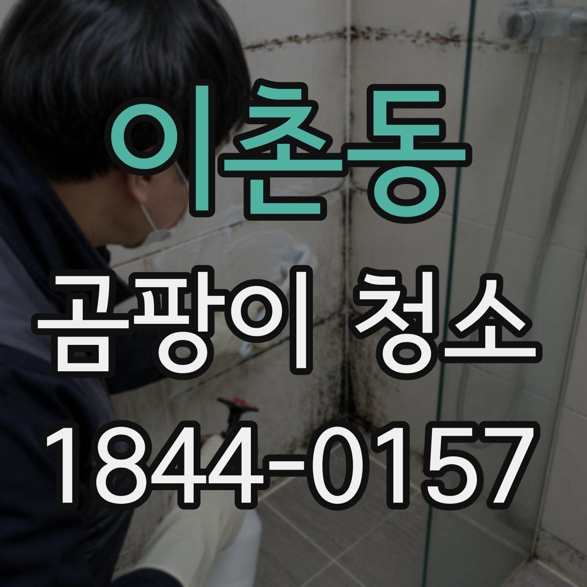 이촌동 곰팡이 청소