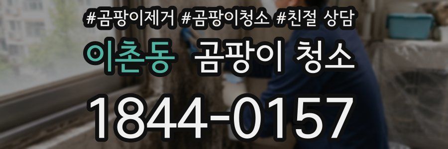 이촌동 곰팡이 청소