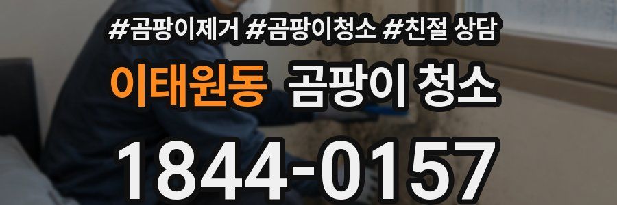 이태원동 곰팡이 청소
