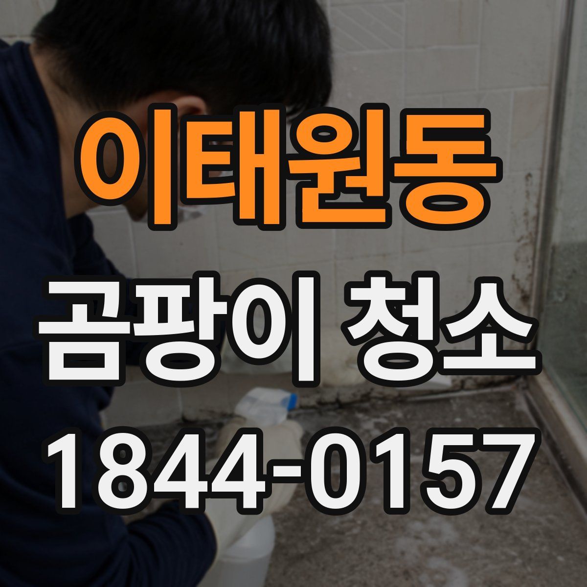 이태원동 곰팡이 청소