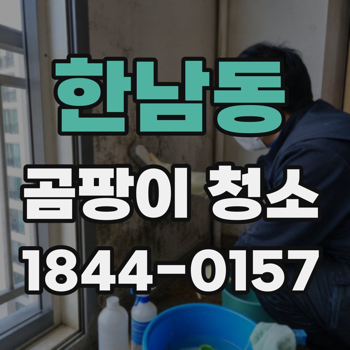 한남동 곰팡이 청소