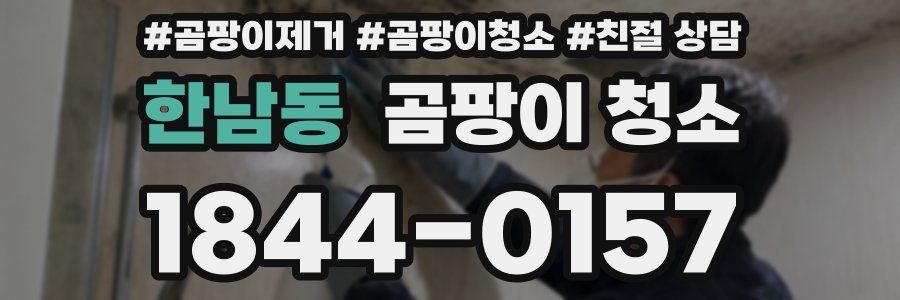한남동 곰팡이 청소
