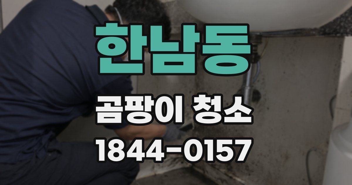 한남동 곰팡이 청소