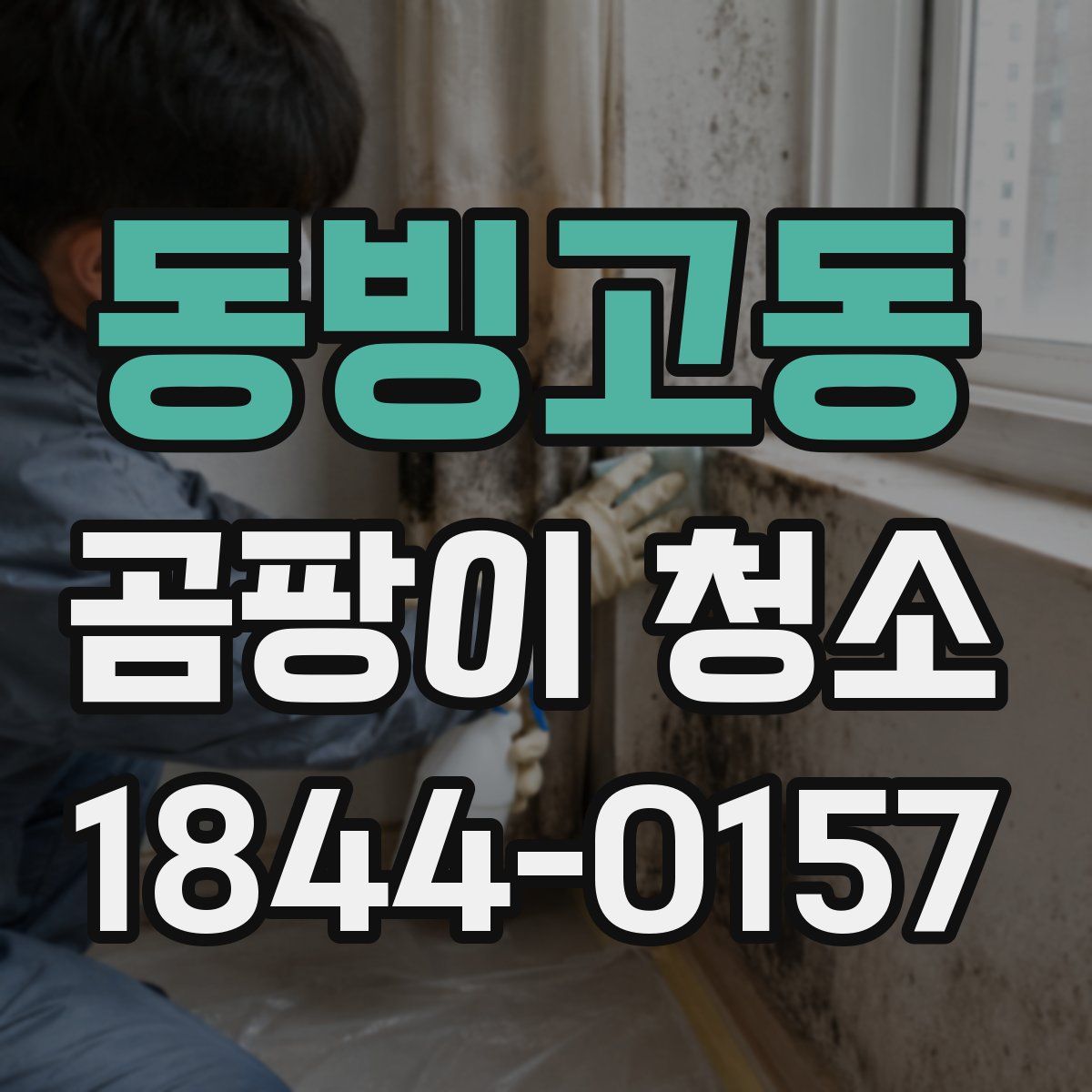 동빙고동 곰팡이 청소