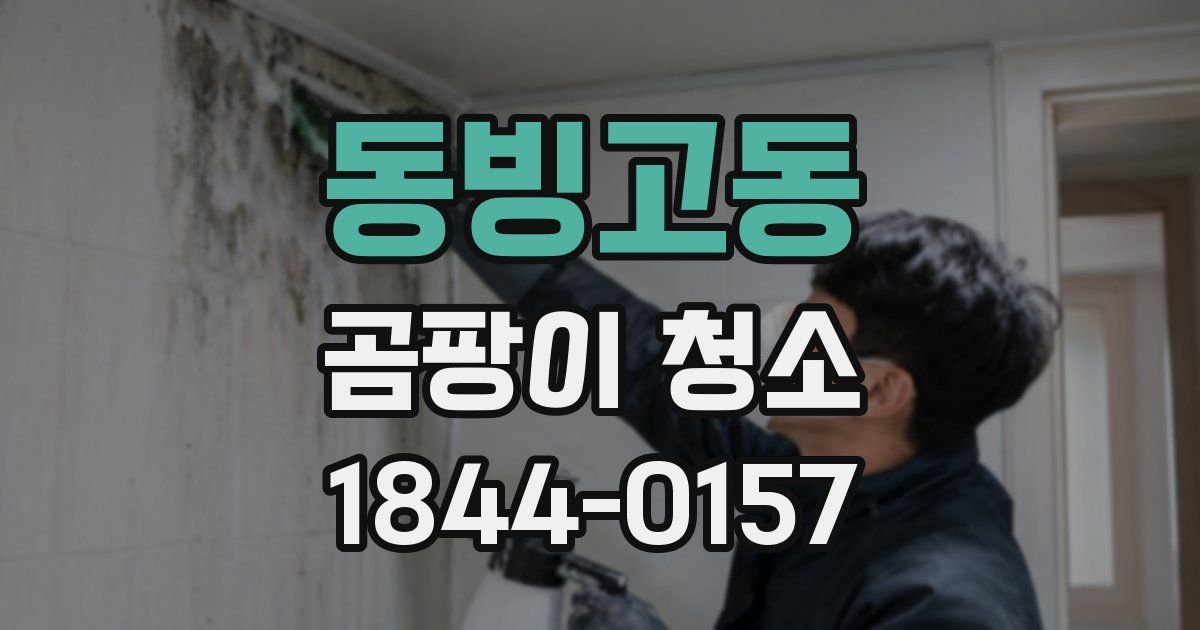 동빙고동 곰팡이 청소