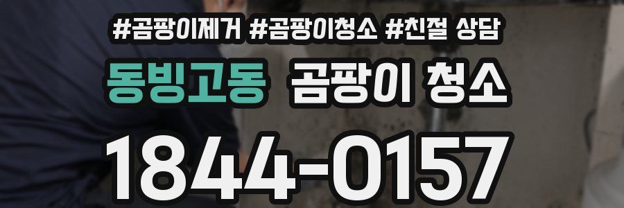 동빙고동 곰팡이 청소