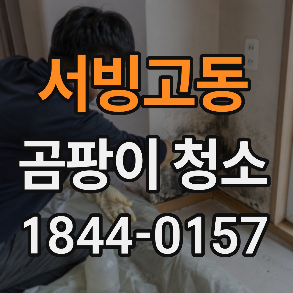 서빙고동 곰팡이 청소