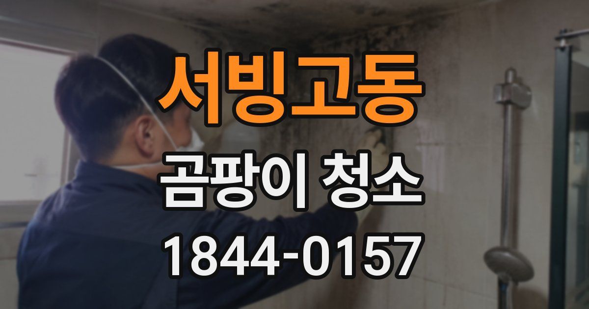 서빙고동 곰팡이 청소