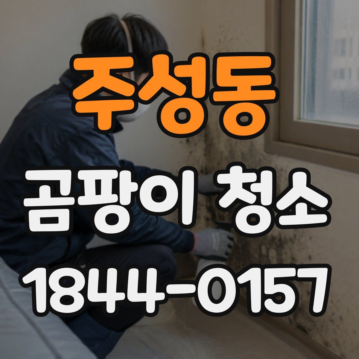 주성동 곰팡이 청소