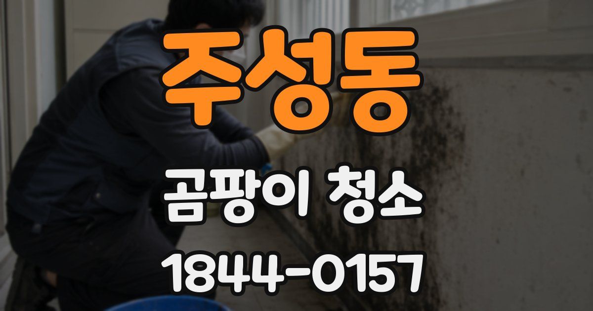 주성동 곰팡이 청소