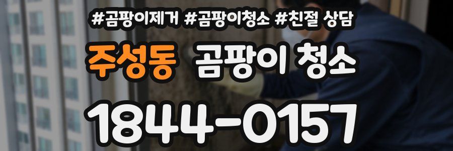 주성동 곰팡이 청소