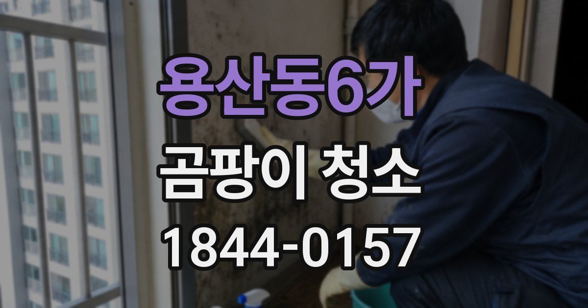 용산동6가 곰팡이 청소