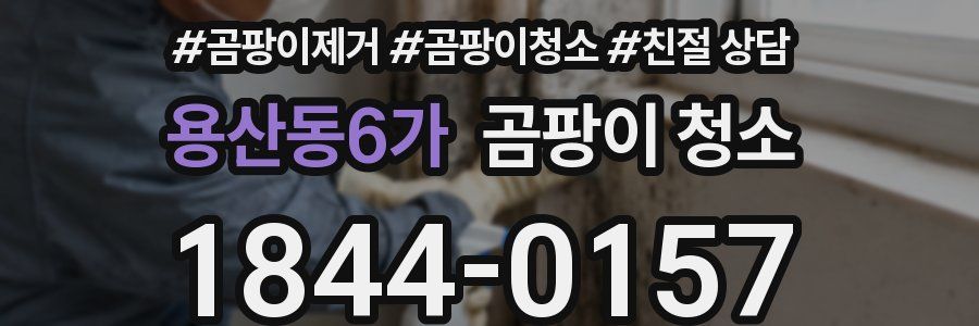 용산동6가 곰팡이 청소