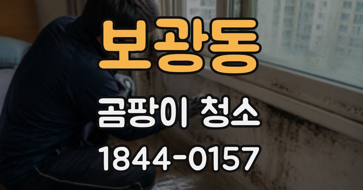 보광동 곰팡이 청소