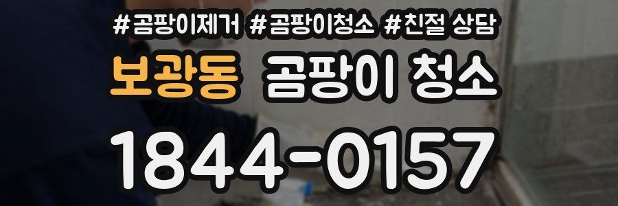 보광동 곰팡이 청소