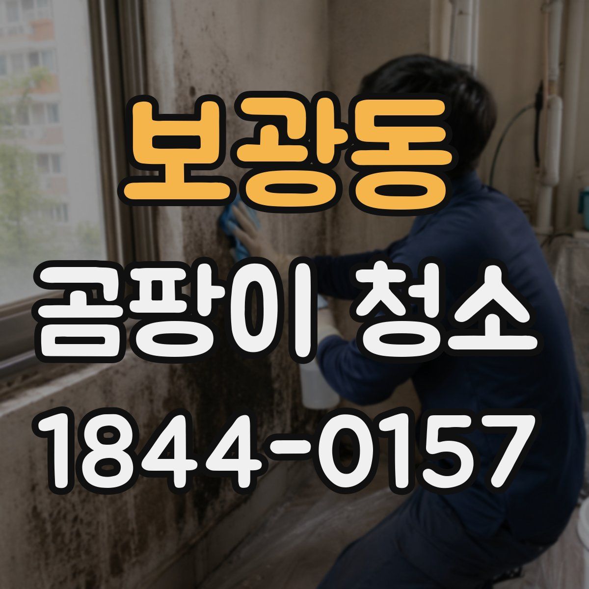 보광동 곰팡이 청소