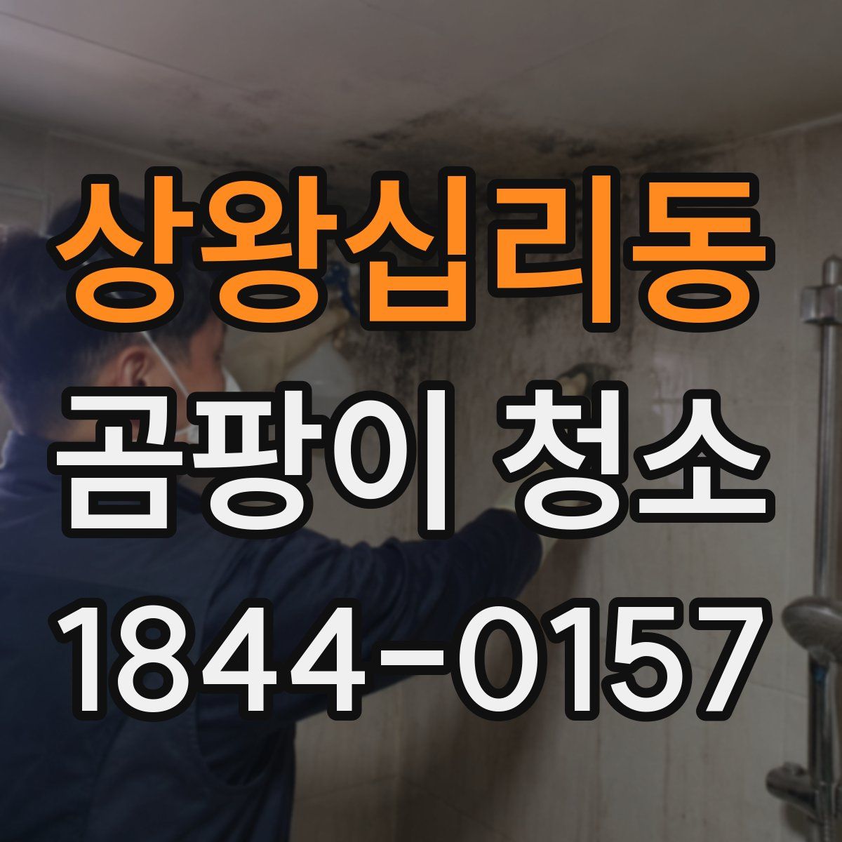 상왕십리동 곰팡이 청소