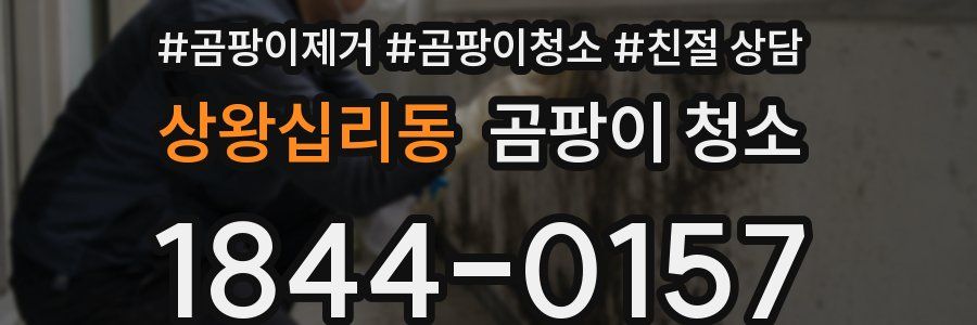 상왕십리동 곰팡이 청소