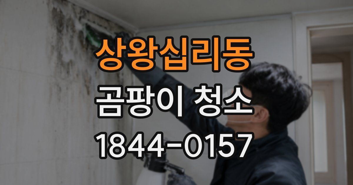 상왕십리동 곰팡이 청소