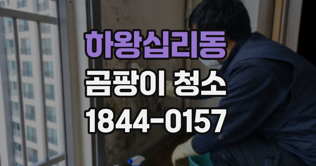 하왕십리동 곰팡이 청소