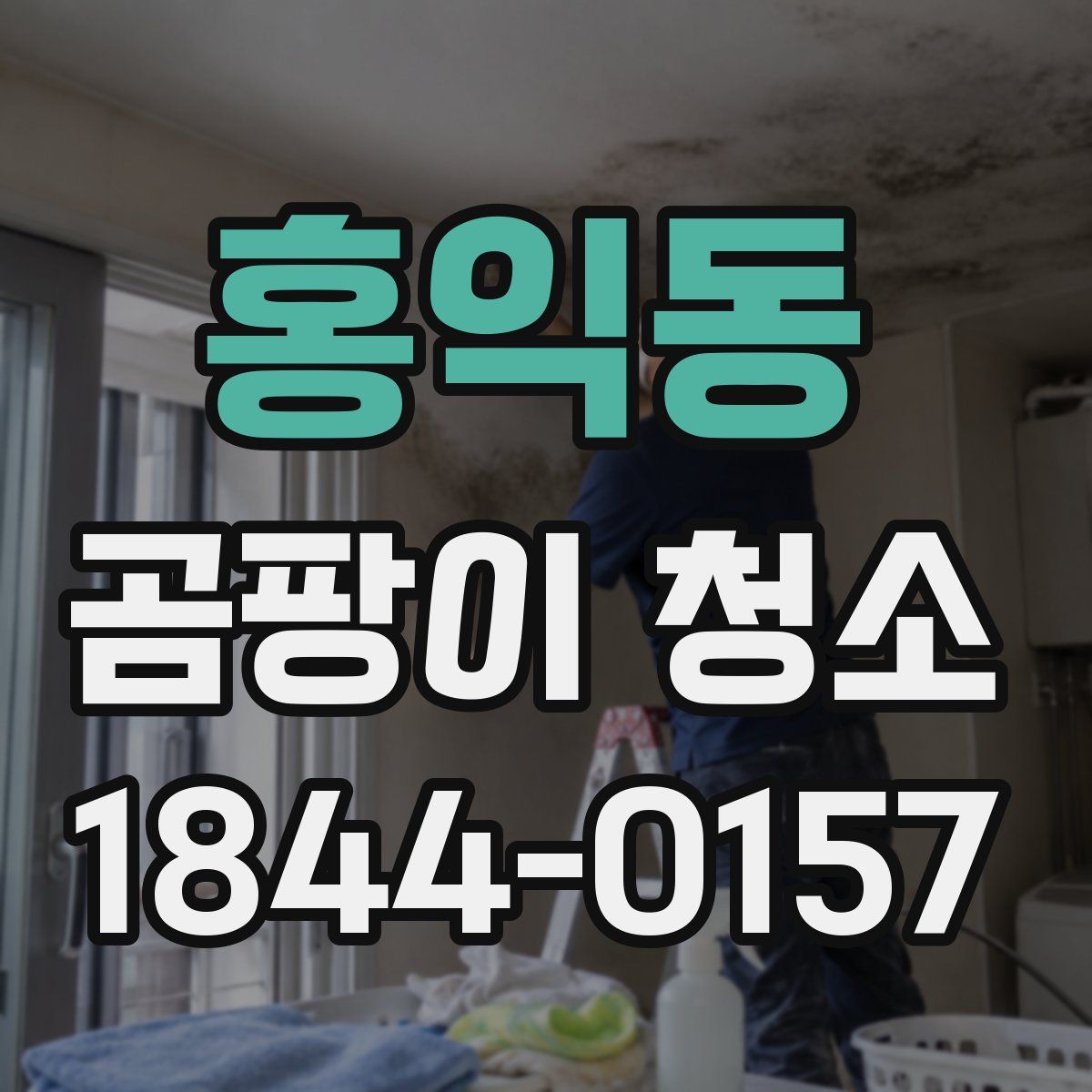 홍익동 곰팡이 청소