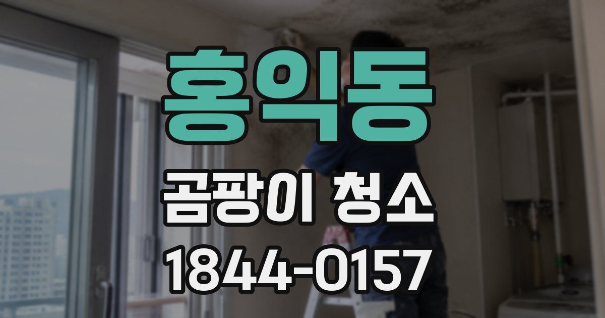 홍익동 곰팡이 청소