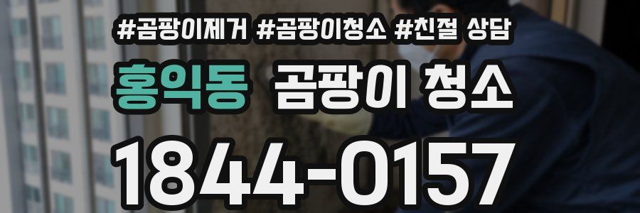홍익동 곰팡이 청소
