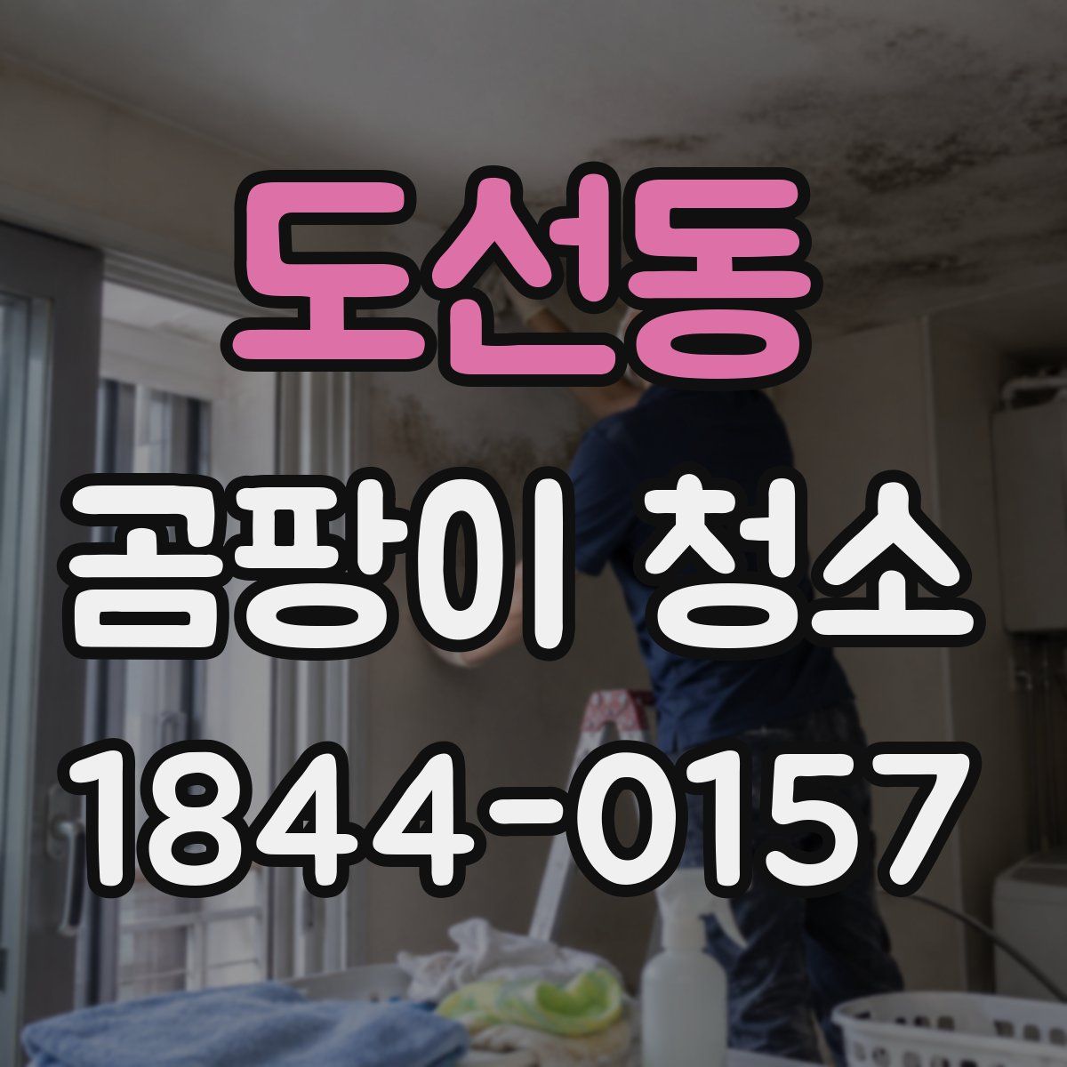 도선동 곰팡이 청소