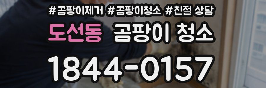 도선동 곰팡이 청소