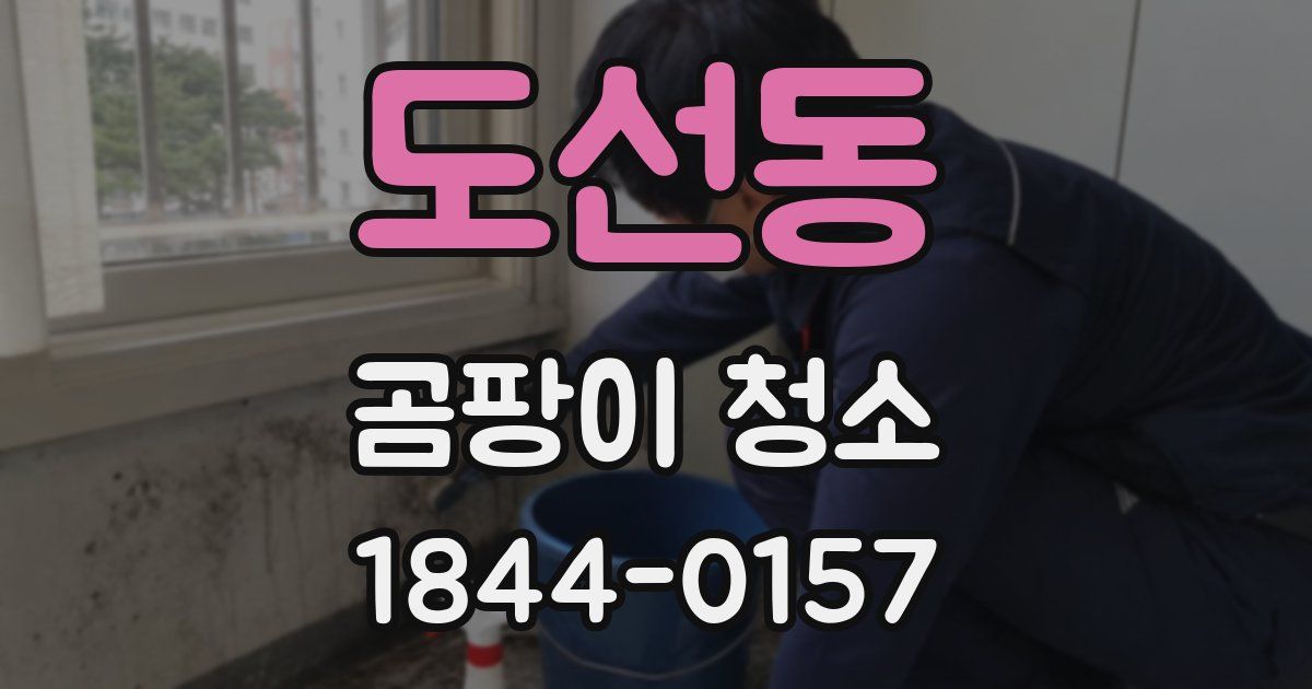 도선동 곰팡이 청소