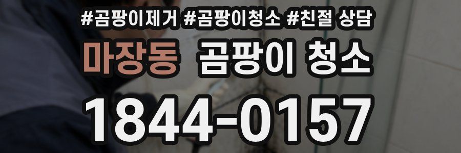 마장동 곰팡이 청소
