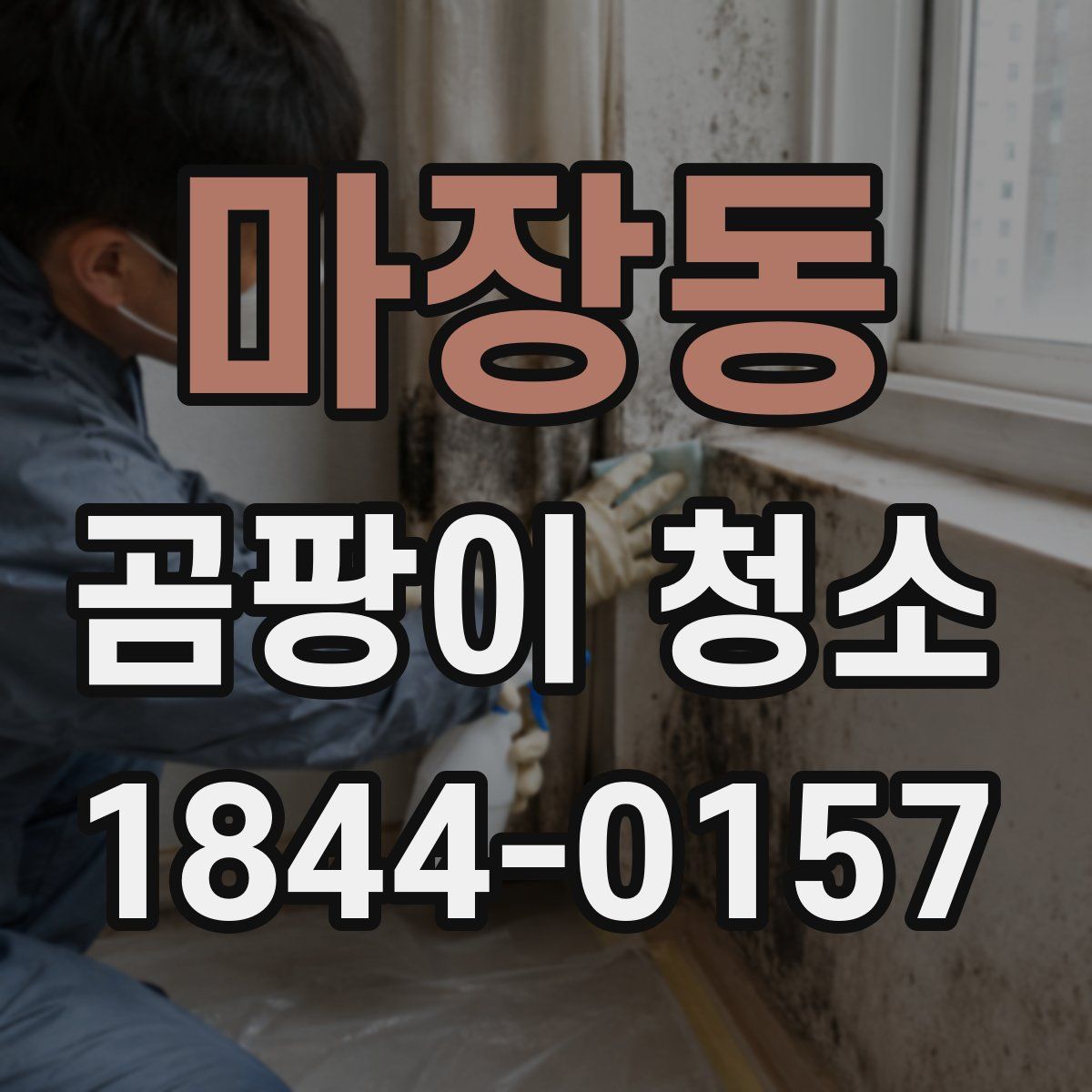 마장동 곰팡이 청소