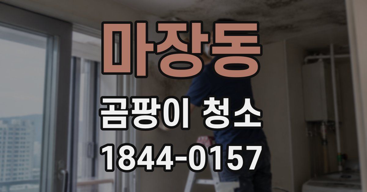 마장동 곰팡이 청소