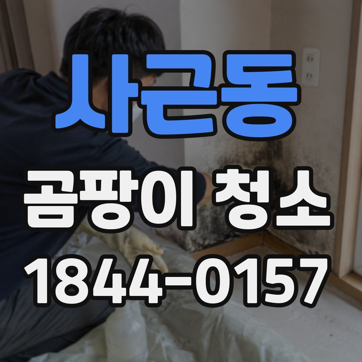 사근동 곰팡이 청소