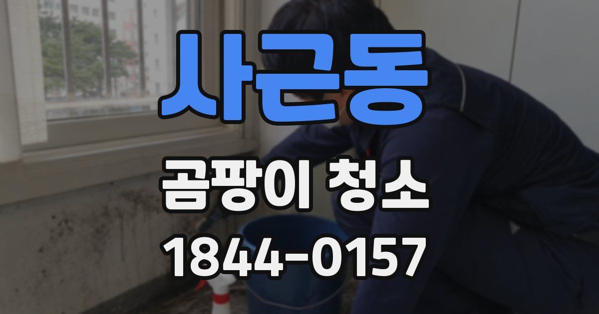 사근동 곰팡이 청소