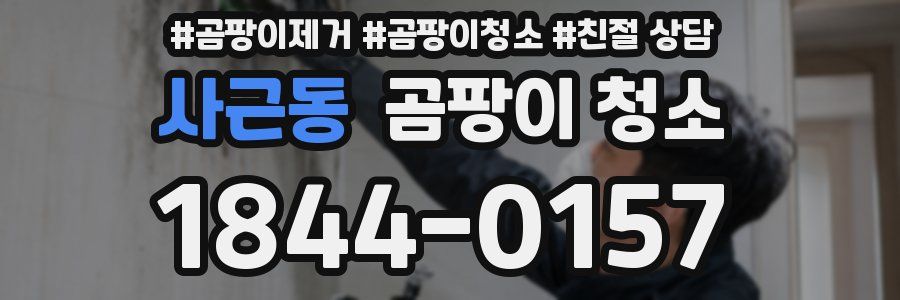 사근동 곰팡이 청소