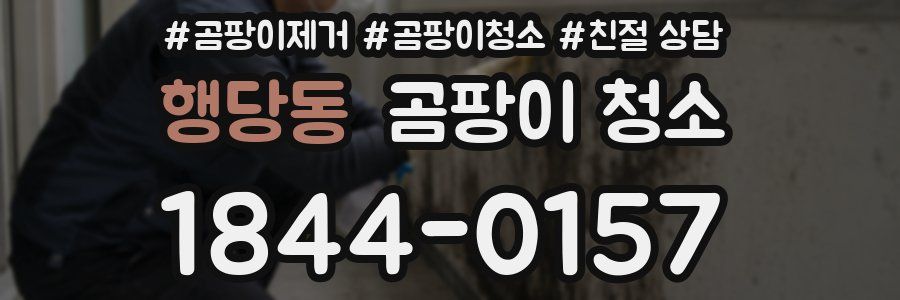행당동 곰팡이 청소