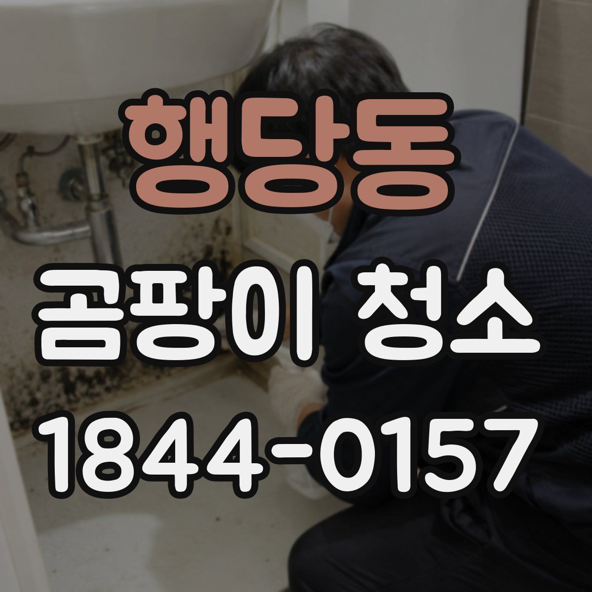 행당동 곰팡이 청소