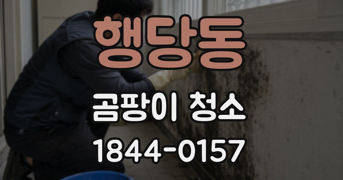 행당동 곰팡이 청소