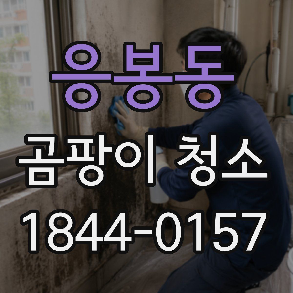 응봉동 곰팡이 청소