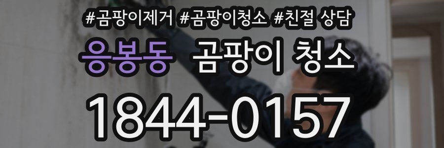 응봉동 곰팡이 청소
