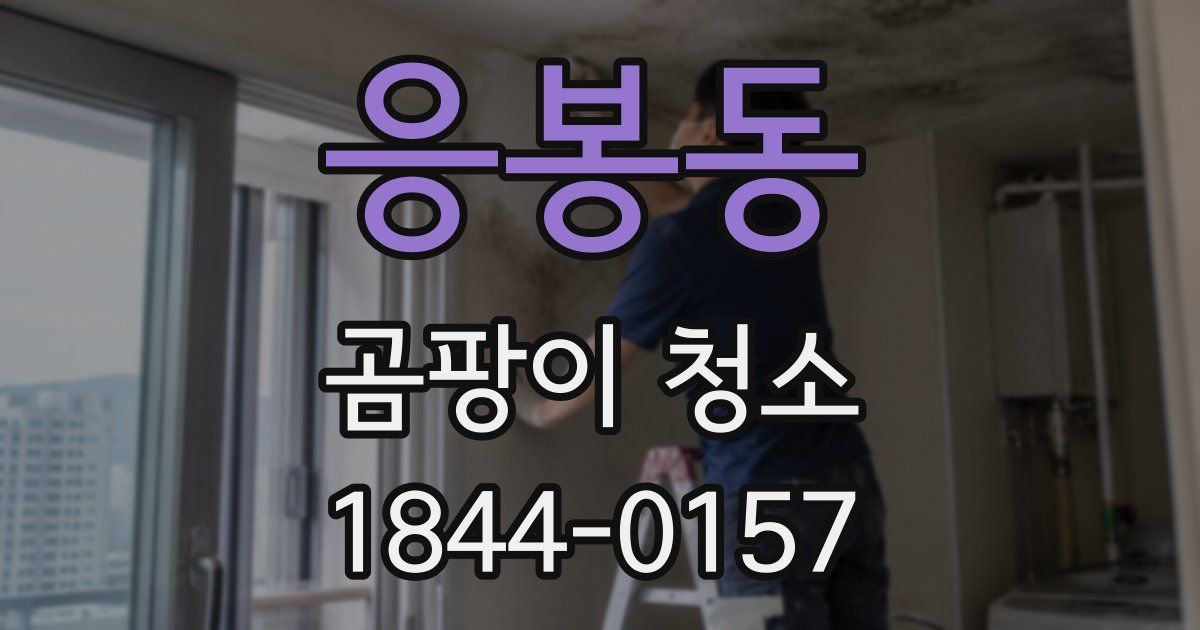 응봉동 곰팡이 청소